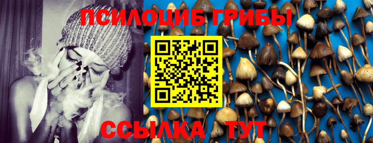 Псилоцибиновые грибы Magic Shrooms Артёмовский